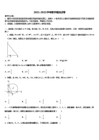 2022年四川省成都七中育才学校中考猜题数学试卷含解析