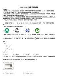 2022年陕西师大附中中考联考数学试题含解析