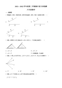 山东省淄博市高青县2021-2022学年六年级下学期期中数学试题(word版含答案)