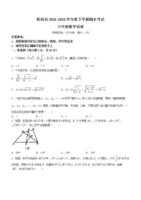 湖北省黄石市阳新县2021-2022学年八年级下学期期末数学试题(word版含答案)