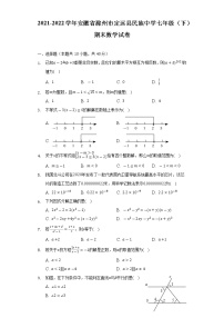 安徽省滁州市定远县民族中学2021-2022学年七年级下学期期末数学试卷(word版含答案)