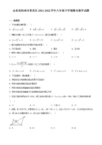 山东省济南市莱芜区2021-2022学年八年级下学期期末数学试题(含答案)