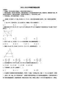 2022年浙江省宁波市宁海县中考数学仿真试卷含解析