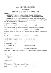 广西壮族自治区玉林市容县2021-2022学年七年级下学期期末数学试题(word版含答案)