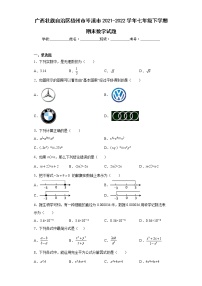 广西壮族自治区梧州市岑溪市2021-2022学年七年级下学期期末数学试题(word版含答案)