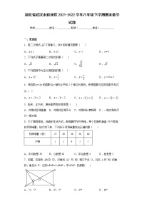 湖北省武汉市新洲区2021-2022学年八年级下学期期末数学试题(word版含答案)