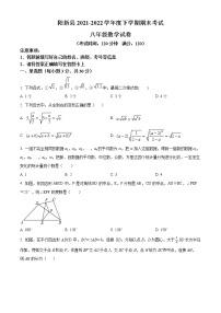 湖北省黄石市阳新县2021-2022学年八年级下学期期末数学试题(word版含答案)