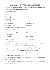 湖北省襄阳市枣阳市2021-2022学年七年级下学期期末数学试题(word版含答案)