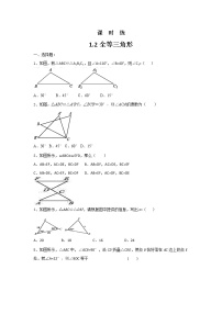 苏科版八年级上册1.2 全等三角形练习