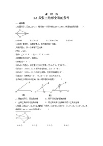 苏科版八年级上册1.3 探索三角形全等的条件测试题