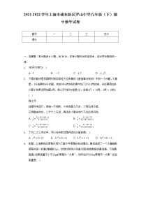 2021-2022学年上海市浦东新区罗山中学九年级（下）期中数学试卷（Word解析版）