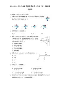 2021-2022学年云南省普洱市景谷县七年级（下）期末数学试卷（Word解析版）