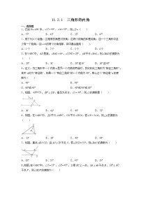 初中数学人教版八年级上册11.2.1 三角形的内角当堂达标检测题