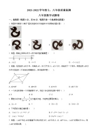 +广东省揭阳市普宁市2021-2022学年八年级下学期期末考试数学试题