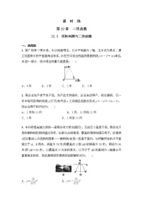 初中数学人教版九年级上册22.3 实际问题与二次函数练习题