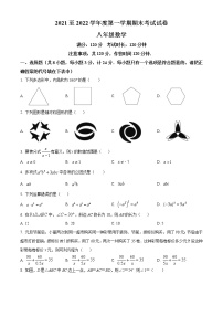 陕西省安康市紫阳县2021-2022学年八年级上学期期末考试数学试题（B卷）(含答案)