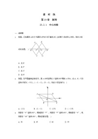 人教版23.2.1 中心对称课后作业题