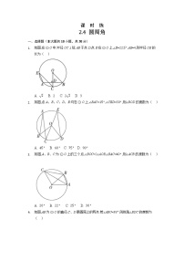 初中数学2.4 圆周角课时作业