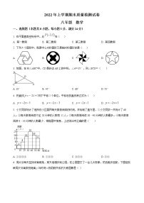 湖南省岳阳市临湘市2021-2022学年八年级下学期期末数学试题(word版含答案)