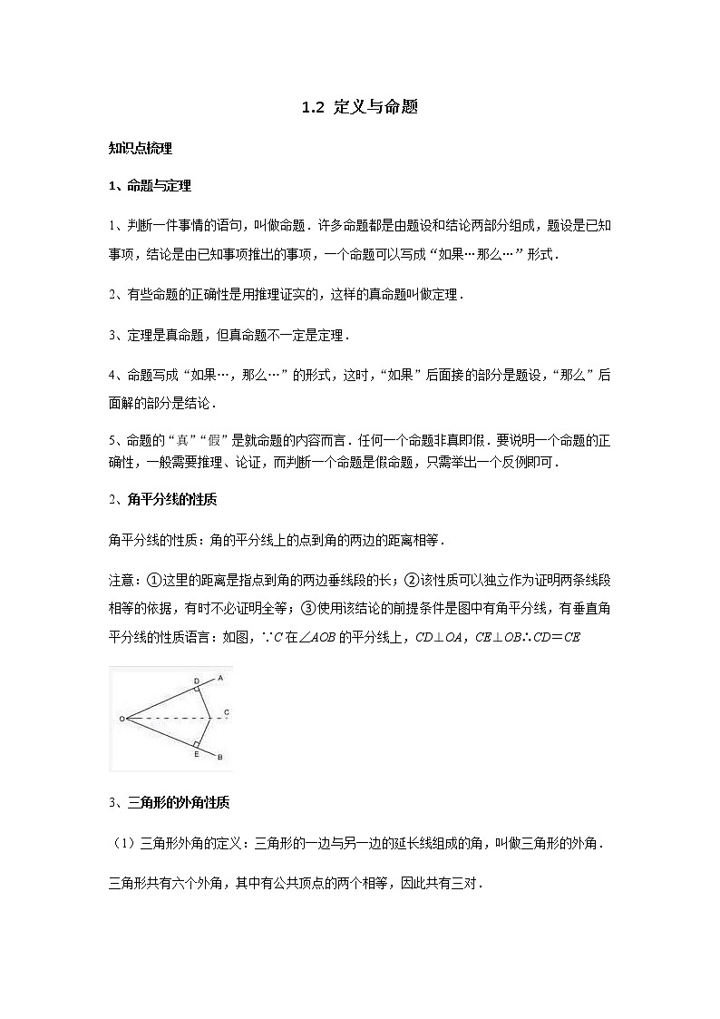 1.2+定义与命题+复习讲义 浙教版数学八年级上册01