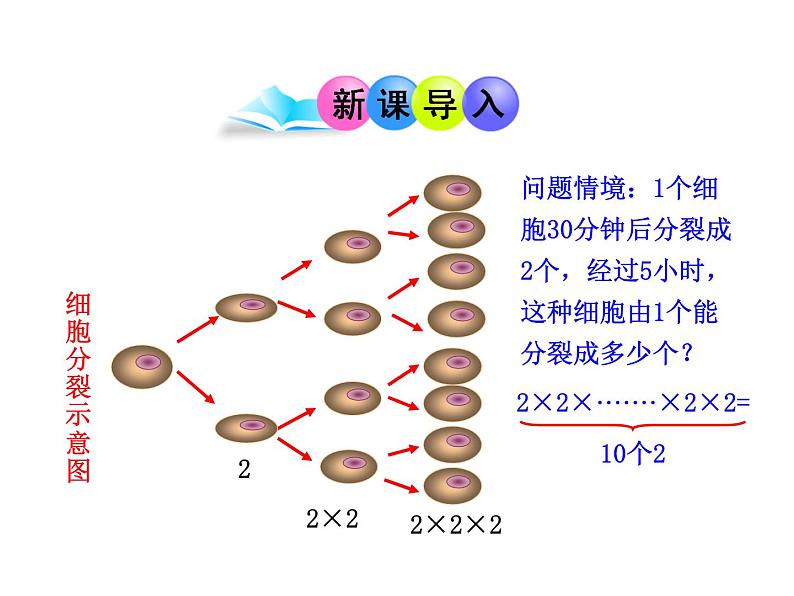 人教版七年级上册1.5.1  乘方  第1课时课件03