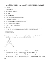 山东省烟台市栖霞市2021-2022学年七年级下学期期末数学试题(word版含答案)