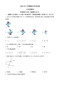 湖南省常德市澧县2021-2022学年七年级下学期期末数学试题(word版含答案)