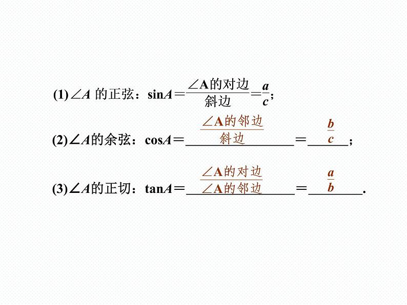 第24章 解直角三角形复习 华师大版九年级数学上册精品教学课件08