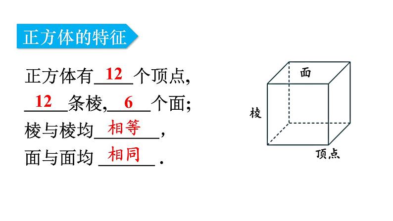 北师大版七年级数学上册课件 1.2.1　正方体的展开与折叠03