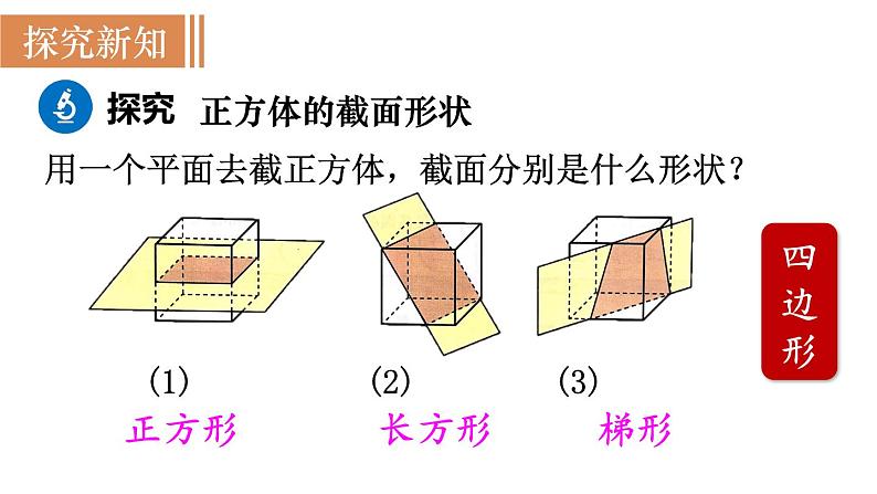 北师大版七年级数学上册课件 1.3　截一个几何体04