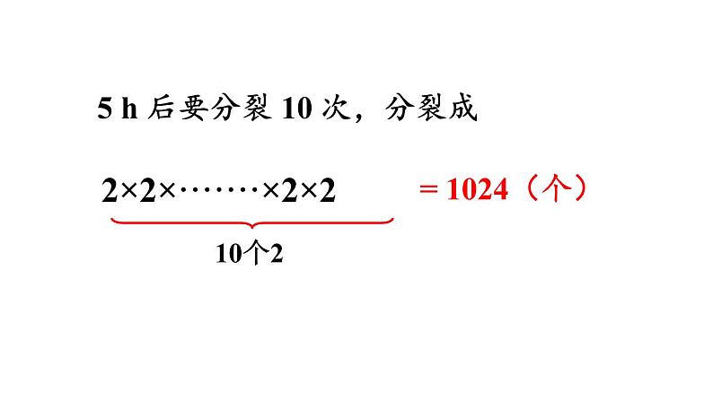 北师大版七年级数学上册课件 2.9 有理数的乘方05