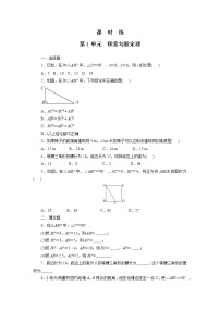 初中数学北师大版八年级上册1 探索勾股定理课堂检测