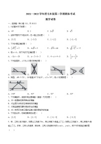 辽宁省朝阳市朝阳县2021-2022学年七年级下学期期末数学试题(word版含答案)