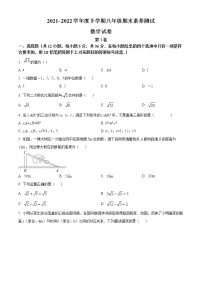 广西壮族自治区南宁市邕宁区2021-2022学年八年级下学期期末数学试题(word版含答案)