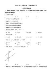 河北省保定市定州市2021-2022学年七年级下学期期末数学试题(word版含答案)