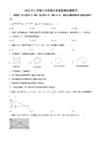 湖南省娄底市新化县2021-2022学年八年级下学期期末数学试题(word版含答案)