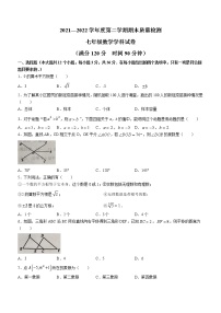 河北省秦皇岛市抚宁区2021-2022学年七年级下学期期末数学试题(word版含答案)