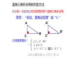 2.8 直角三角形全等的判定 浙教版八年級數(shù)學(xué)上冊課件(共22張PPT)