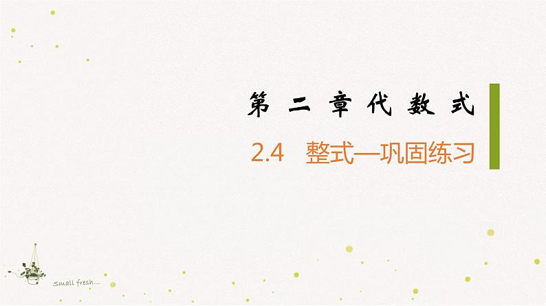 2.4整式-巩固练习ppt第1页