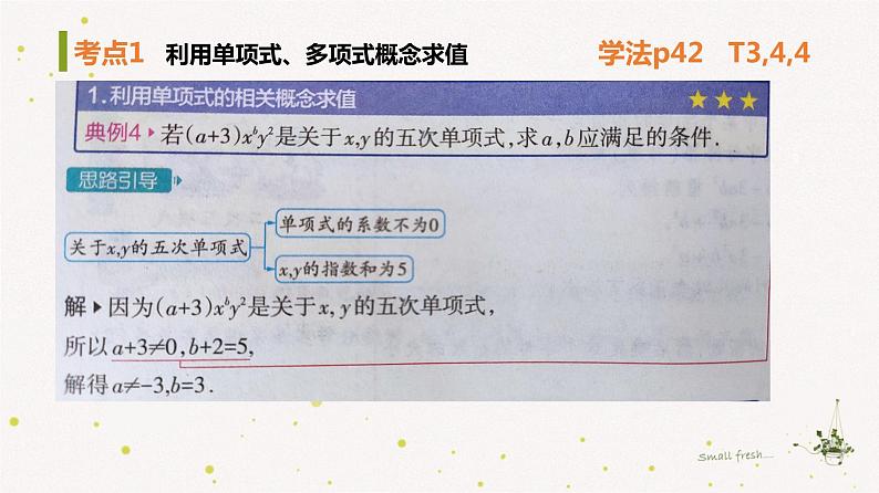 2.4整式-巩固练习ppt第3页