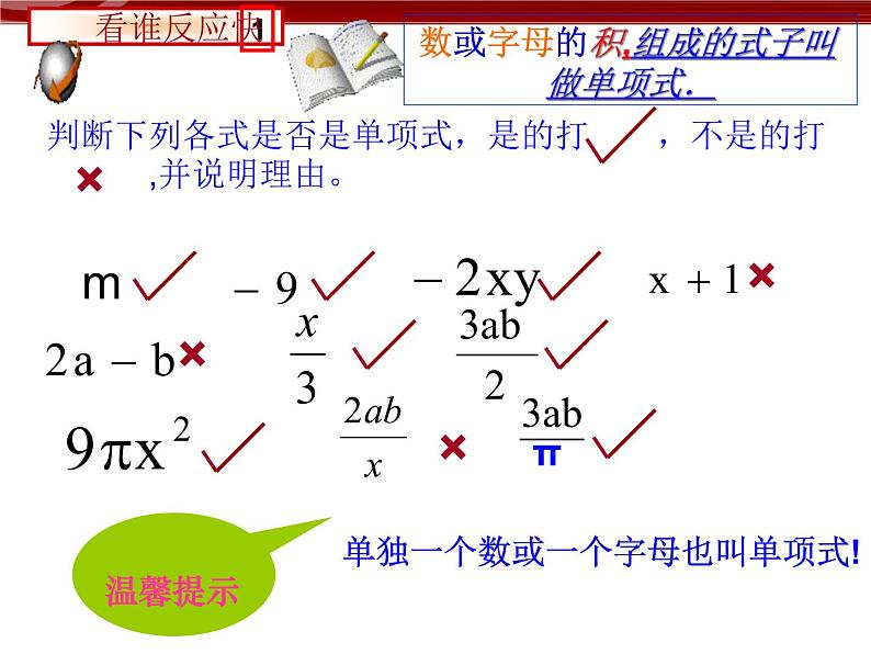 初中数字七上2.1.1整式--单项式课件C06