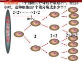 初中數(shù)學(xué)七上1.5有理數(shù)的乘方課件C