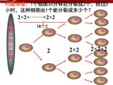 初中数学七上1.5有理数的乘方课件C