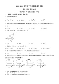 辽宁省沈阳市浑南区东北育才学校2021-2022学年七年级下学期期中数学试题(含答案)