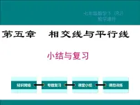 人教版七年级数学下册期末复习课件全套