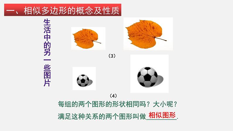 4.3 相似多边形 初中数学北师大版九年级上册授课课件03