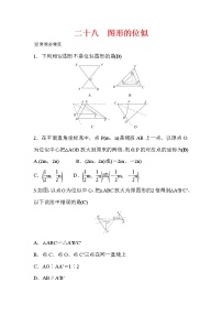 初中北师大版第四章 图形的相似8 图形的位似同步练习题