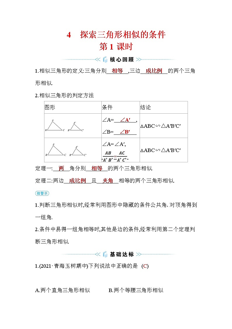4.4 探索三角形相似的条件  第1课时  数学北师大版九年级上册作业及答案01