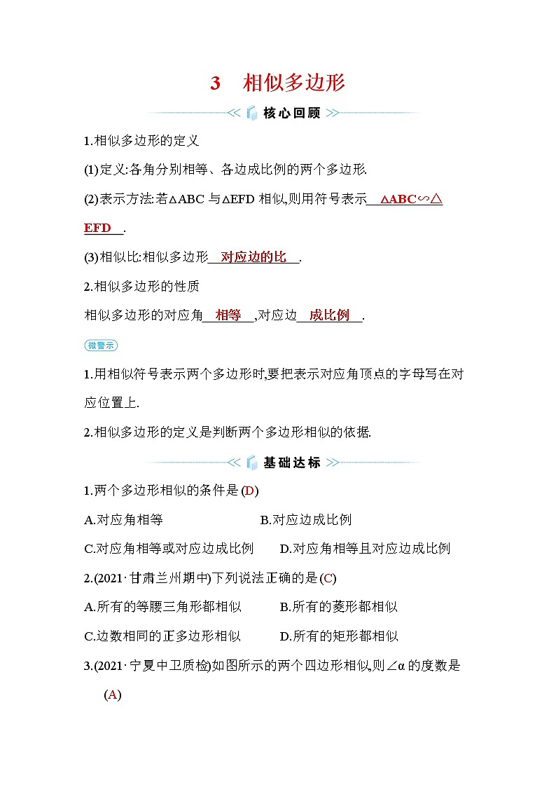 4.3 相似多边形  数学北师大版九年级上册作业及答案01