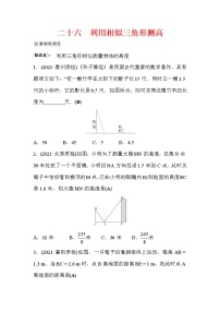 数学北师大版6 利用相似三角形测高课时练习